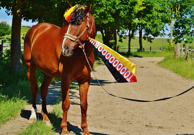 更凸显了一 更凸显了一