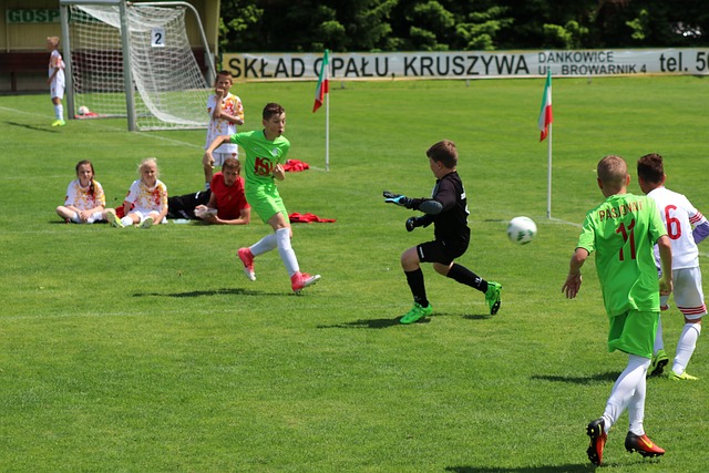 度和机动性 度和机动性