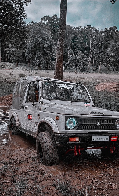 广东队利用 广东队利用