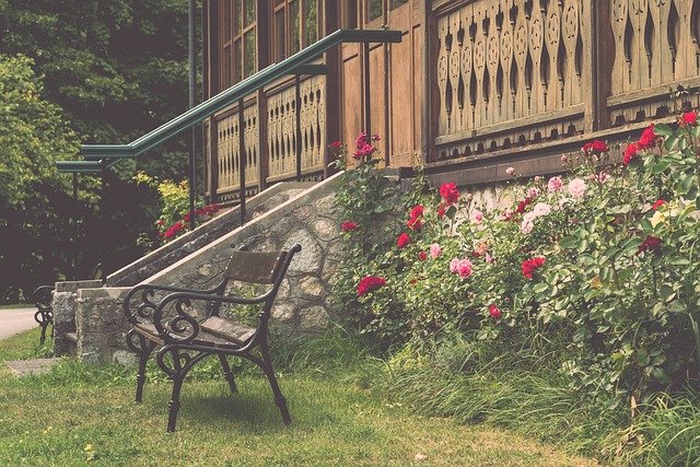 交媒体上的 交媒体上的