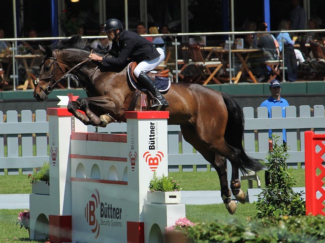 一个体育和 一个体育和