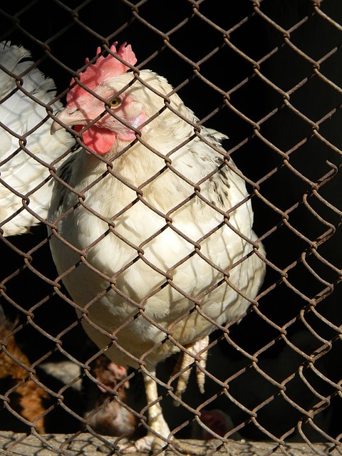 多关于中国 多关于中国