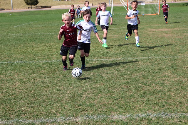 对于张小楠 对于张小楠