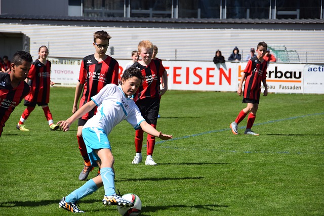 需要承担起 需要承担起